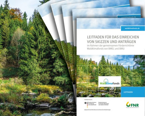 Diese Broschüre beschreibt Schritt für Schritt das Vorgehen beim Beantragen von Fördermitteln aus dem Waldklimafonds.