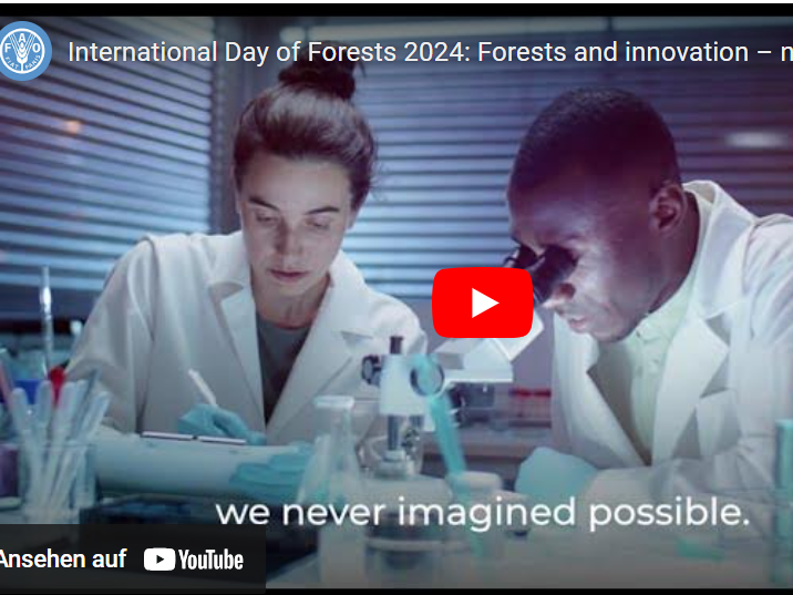 „Wälder und Innovation“ das ist das Motto der FAO für den Internationalen Tag des Waldes 2024. Das offizielle Video kann auf der FAO-Webseite des Aktionstags oder bei YouTube abgerufen werden. Quelle: Screenshot FAO-Webseite