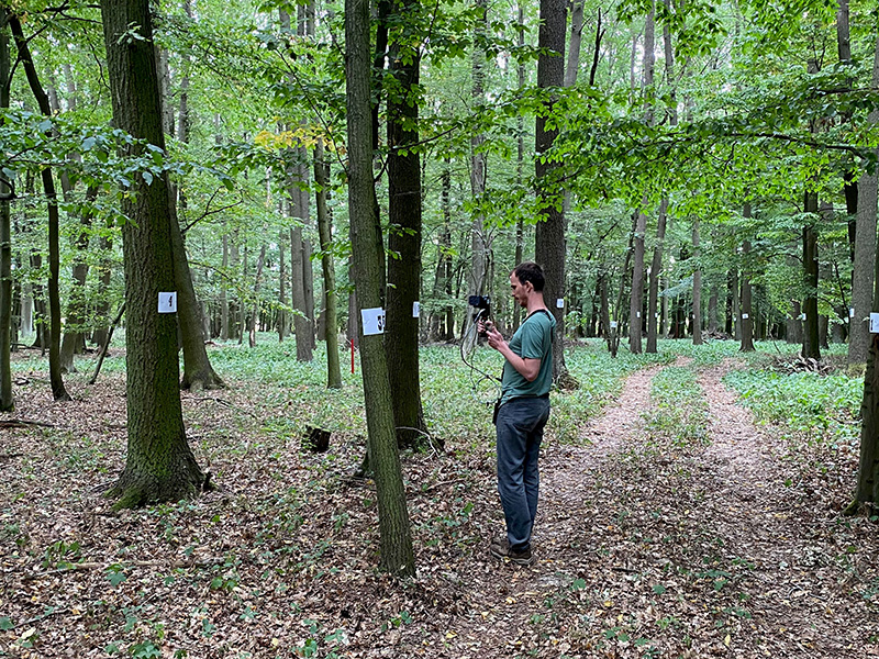 ThüringenForst-Mitarbeiter Harald Lux ermittelt den Brusthöhendurchmesser an Bäumen (BHD) mit einem mobilen Laserscanner. Bild: ThüringenForst/: J. Seidemann