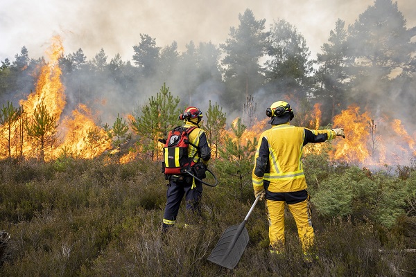 Rückblick: Bei der Waldbrandübung in Gartow im September 2022 probten Ersthelfer aus Forstbetrieben auch das Aufhalten eines beginnenden Brandes mit Löschrucksäcken, Feuerpatschen und Spaten bis zum Eintreffen der Feuerwehr. Foto: A. Schmidt/FNR
